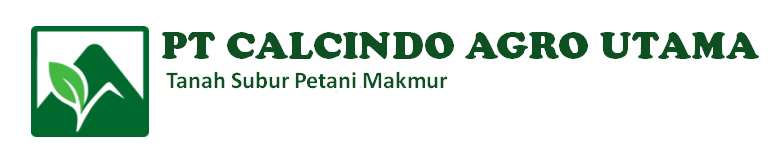 Logo Calcindo